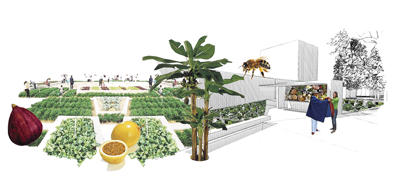 Colagem de diversas imagens que ilustram a intenção do projeto. Nela vemos plantações, frutas enormes, fora de escala, uma bananeira, uma abelha enorme e uma cena de comércio de rua.